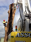 man on a stump with machinery