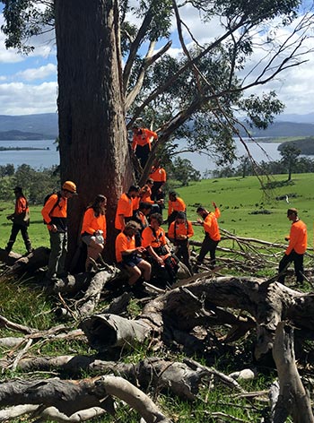 Some of the voluteer arborists helping to save the swift parrot