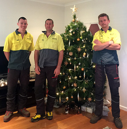 Troy, Russ and Rob the assured tree care arborists