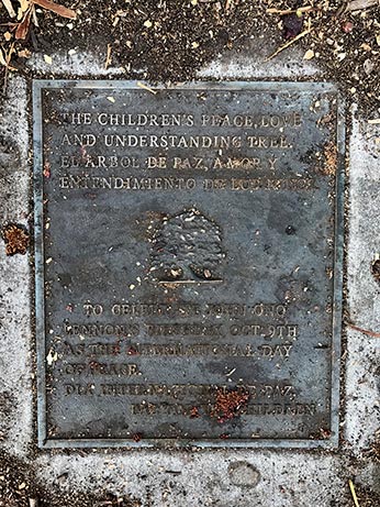 memorial plaque of large tree