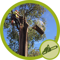 tree removal icon