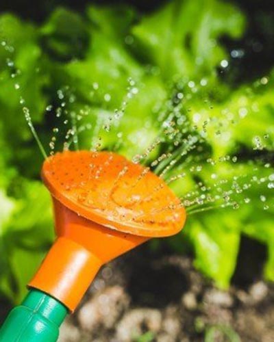 watering can watering the garden